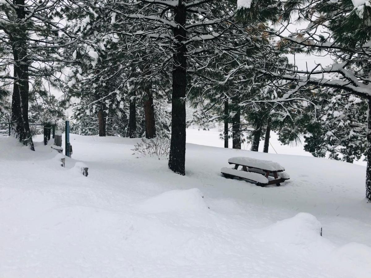 Mountain View Cabins Wrightwood Luaran gambar